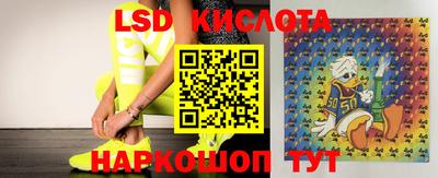 2c-b Новозыбков